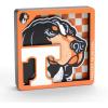 Tennessee Volunteers