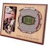 YouTheFan NCAA 3D StadiumView Picture Frame(Florida State Seminoles)