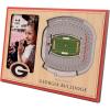 YouTheFan NCAA 3D StadiumView Picture Frame(Georgia Bulldogs)