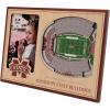 YouTheFan NCAA 3D StadiumView Picture Frame(Mississippi State Bulldogs)