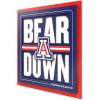 Arizona Wildcats