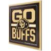 Colorado Buffaloes
