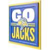 South Dakota State Jackrabbits