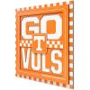 Tennessee Volunteers