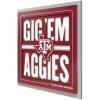Texas A&M Aggies