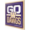 Washington Huskies