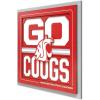 Washington State Cougars