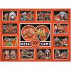 YouTheFan NFL Cincinnati Bengals Kiss Cam 500pc Puzzle(Cincinnati Bengals)