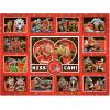 YouTheFan NFL Cincinnati Bengals Kiss Cam 500pc Puzzle(Cleveland Browns)