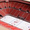 YouTheFan NHL 25-Layer StadiumView Wall Art(Detroit Red Wings)