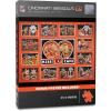 YouTheFan NFL Cincinnati Bengals Kiss Cam 500pc Puzzle(Cincinnati Bengals)