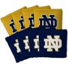 Notre Dame Fighting Irish