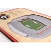 YouTheFan NCAA 3D StadiumView Desktop(Georgia Bulldogs)