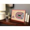 YouTheFan NCAA 3D StadiumView Desktop(Ohio State Buckeyes)