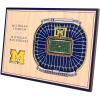 YouTheFan NCAA 3D StadiumView Desktop(Michigan Wolverines)