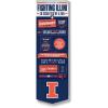 Illinois Fighting illini