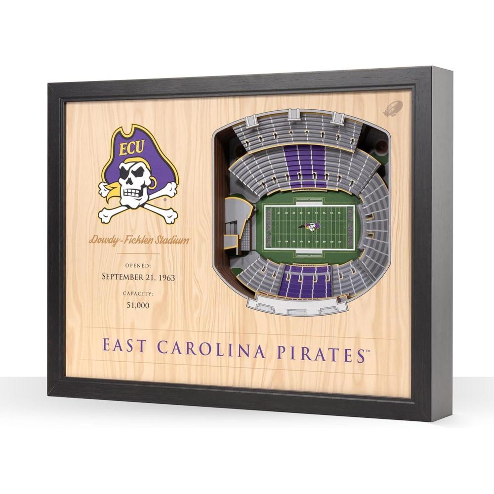 imageYouTheFan NCAA 25Layer StadiumView Wall ArtEast Carolina Pirates