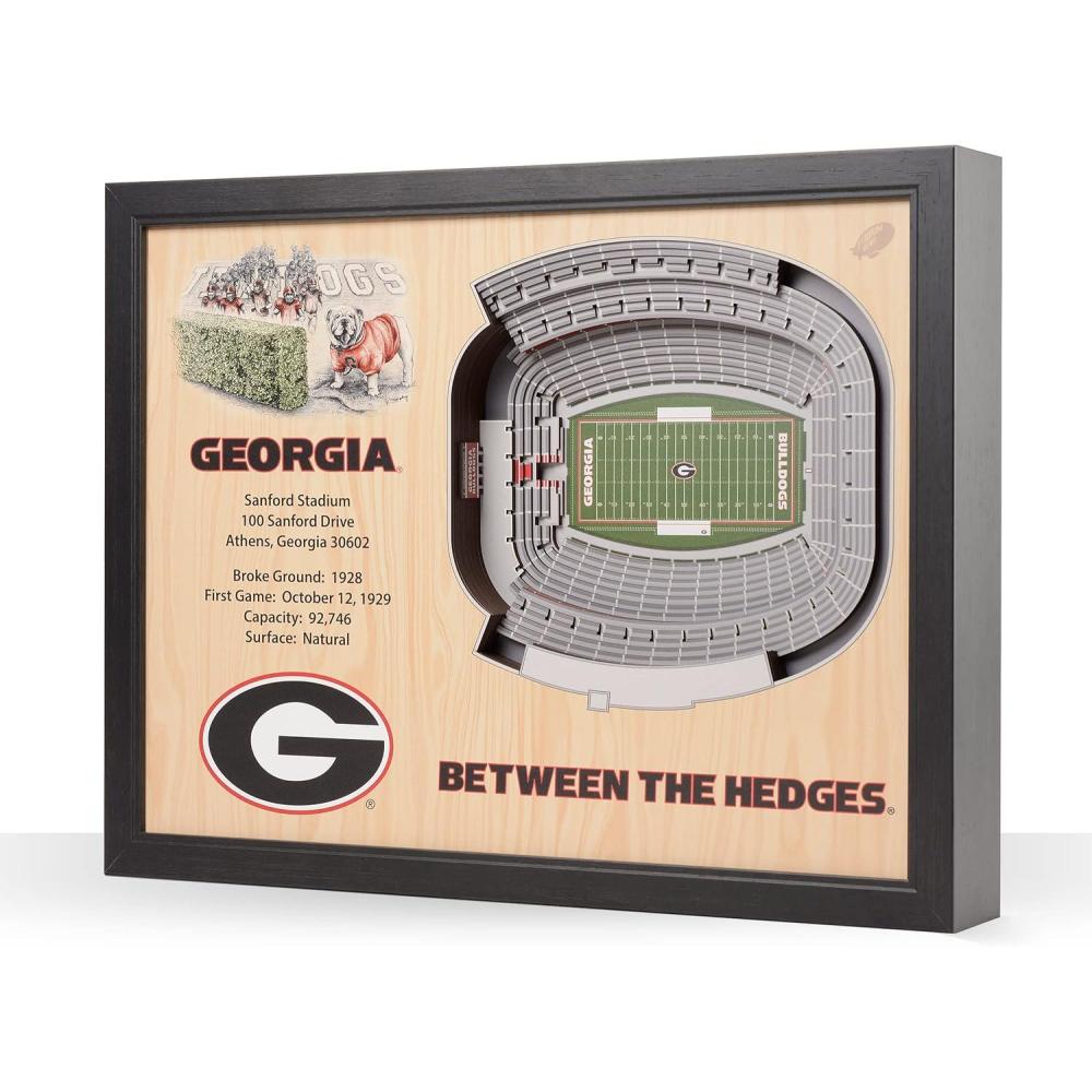 imageYouTheFan NCAA 25Layer StadiumView Wall ArtGeorgia Bulldogs
