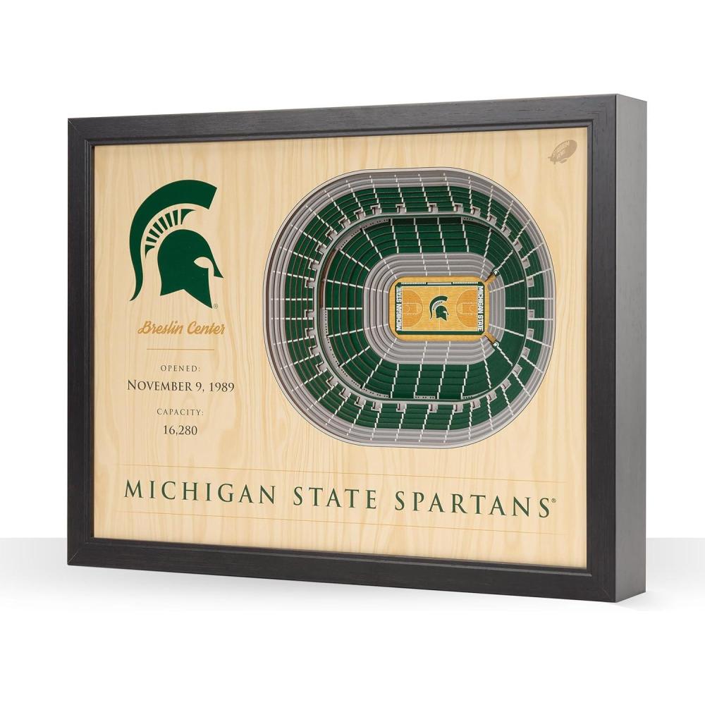 imageYouTheFan NCAA 25Layer StadiumView Wall ArtMichigan State Spartans BB