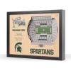 Michigan State Spartans