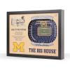 Michigan Wolverines FB