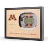 Minnesota Golden Gophers FB