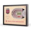 Ohio State Buckeyes 100th