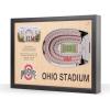 Ohio State Buckeyes