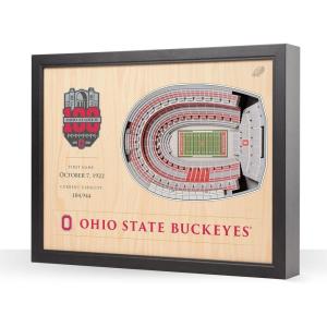 YouTheFan NCAA 25-Layer StadiumView Wall Art(Ohio State Buckeyes 100th)