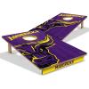 Minnesota State Mankato Mavericks