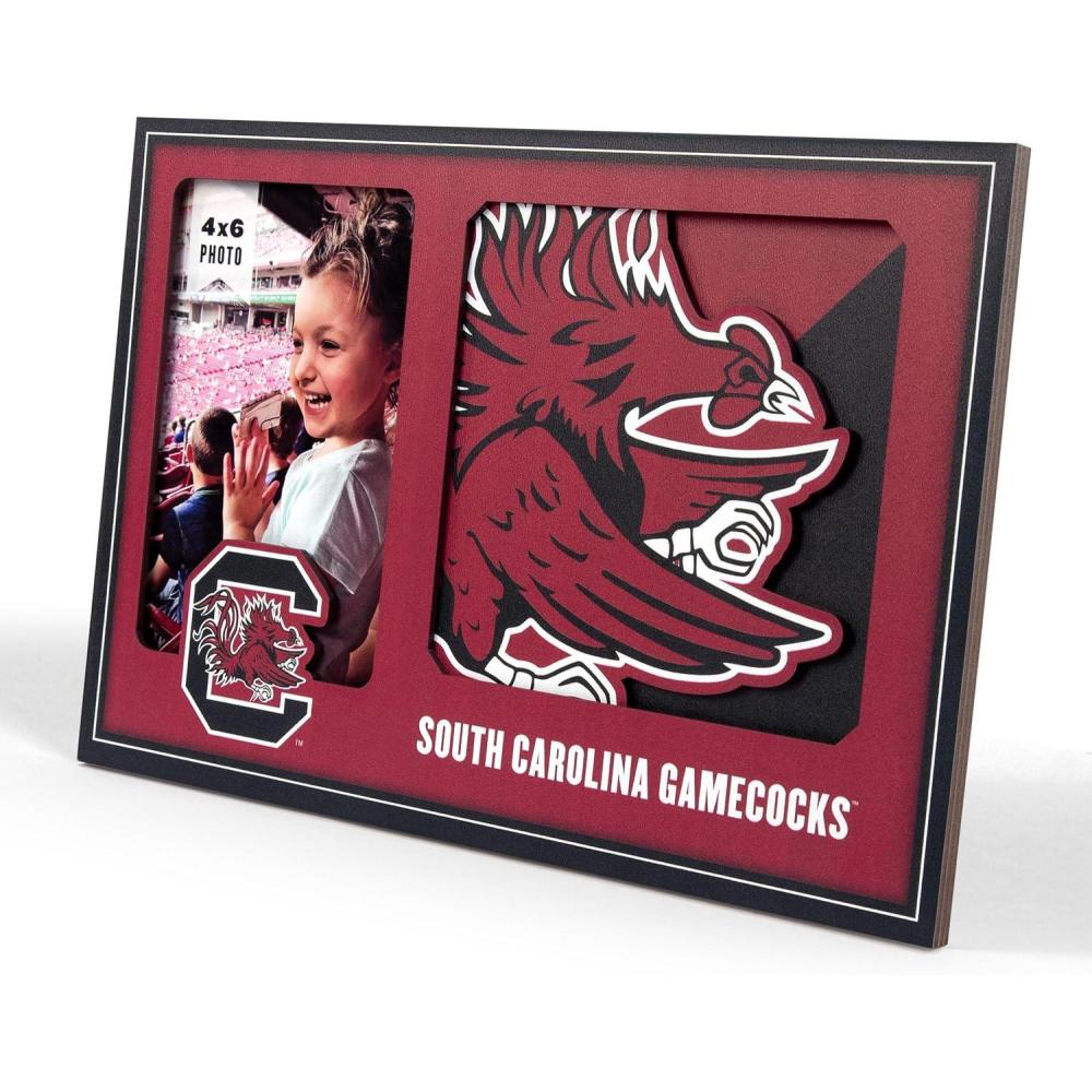 image:imageYouTheFan NCAA 3D Logo Picture FrameSouth Carolina Gamecocks