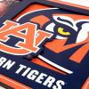 YouTheFan NCAA 3D Logo Picture Frame(Auburn Tigers)
