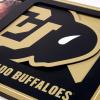YouTheFan NCAA 3D Logo Picture Frame(Colorado Buffaloes)