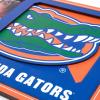YouTheFan NCAA 3D Logo Picture Frame(Florida Gators)