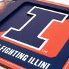 YouTheFan NCAA 3D Logo Picture Frame(Illinois Fighting Illini)