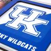 YouTheFan NCAA 3D Logo Picture Frame(Kentucky Wildcats)