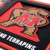 YouTheFan NCAA 3D Logo Picture Frame(Maryland Terrapins)