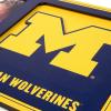 YouTheFan NCAA 3D Logo Picture Frame(Michigan Wolverines)