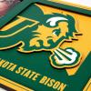 YouTheFan NCAA 3D Logo Picture Frame(North Dakota State Bison)