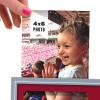 YouTheFan NCAA 3D Logo Picture Frame(Washington State Cougars)
