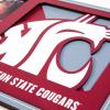 YouTheFan NCAA 3D Logo Picture Frame(Washington State Cougars)