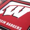 YouTheFan NCAA 3D Logo Picture Frame(Wisconsin Badgers)