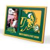 YouTheFan NCAA 3D Logo Picture Frame(North Dakota State Bison)