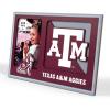 Texas A&M Aggies