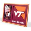 Virginia Tech Hokies