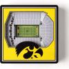 YouTheFan NCAA 3D StadiumView Magnet(Iowa Hawkeyes)