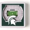 YouTheFan NCAA 3D StadiumView Magnet(Michigan State Spartans)