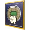Notre Dame Fighting Irish
