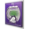 TCU Horned Frogs
