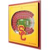 USC Trojans
